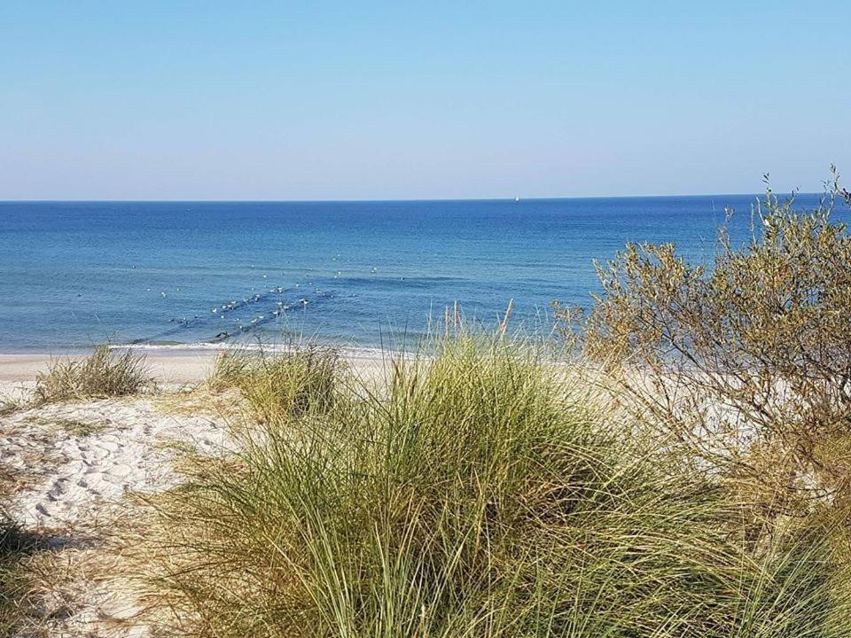 5 Zmyslow Akademia Wypoczynku Pokoje Zieleniewo  Bagian luar foto